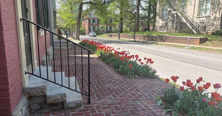 Red tulips along brick walkway with iron railing in historic Lexington Kentucky neighborhood